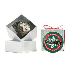 Christmas coal lump in a silver ring box by The Naughty List.